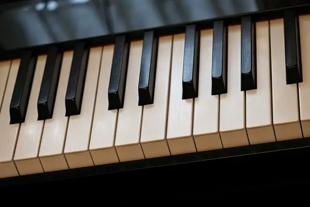 Exploring the Influence of World Music on Modern Genres